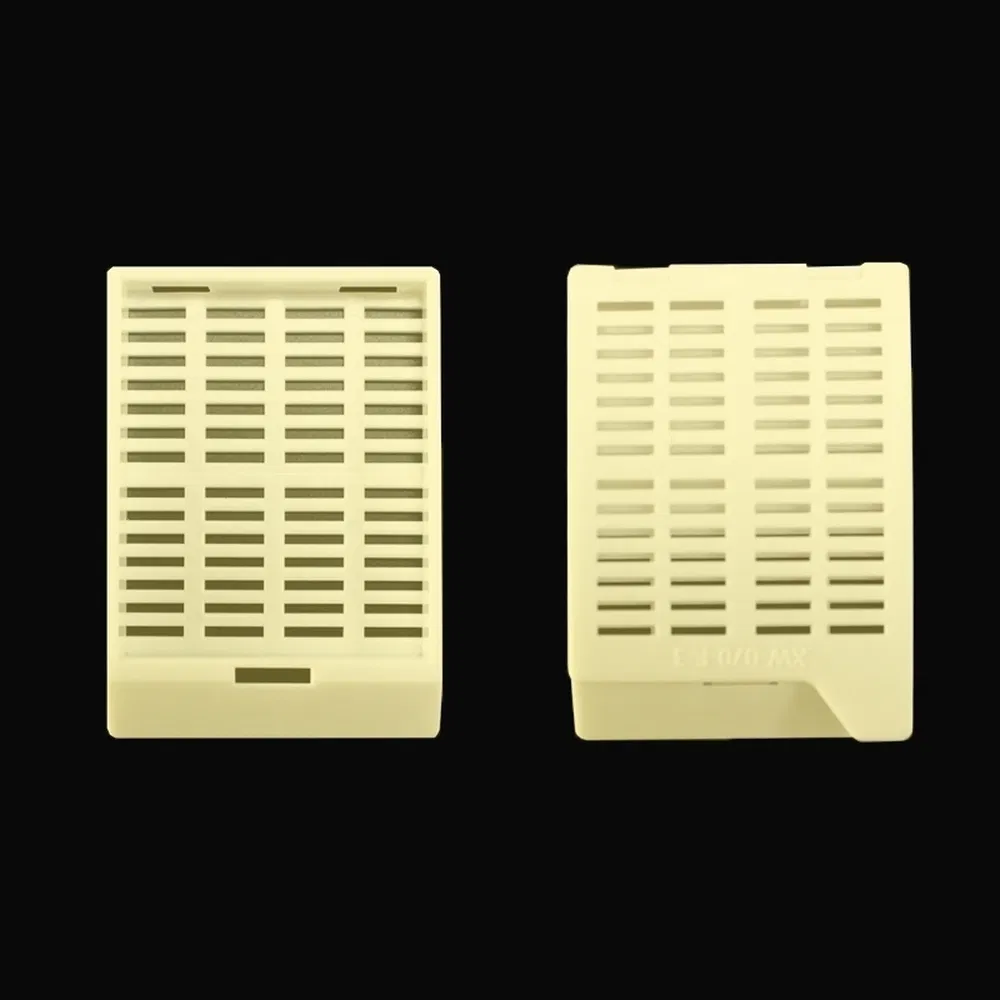 Secure Containment Plastic Tissue Embedding Cassette Used for Specialized Laboratory Procedures