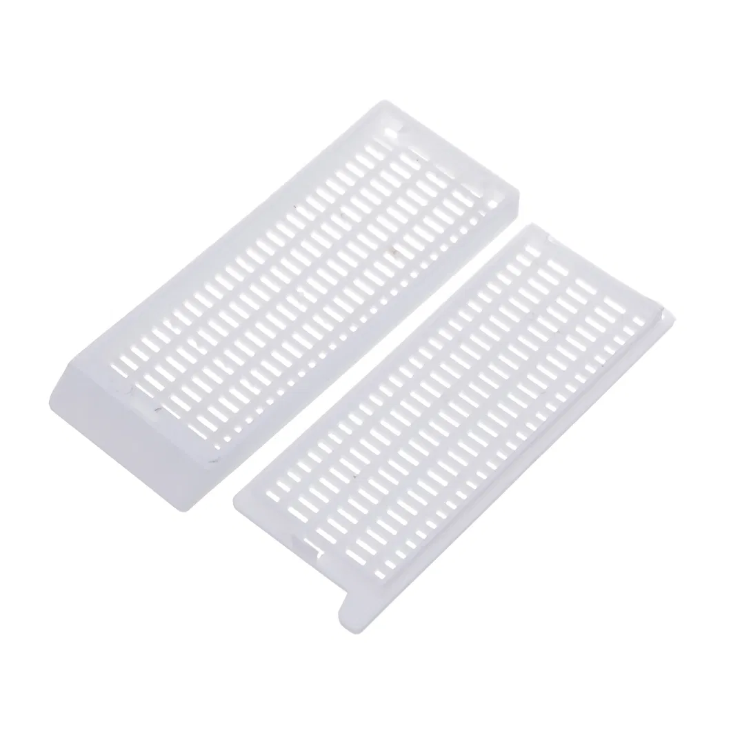 OEM Customized Disposable Medical Supplies ESD Tissue Embedding Cassette Used for Laboratory