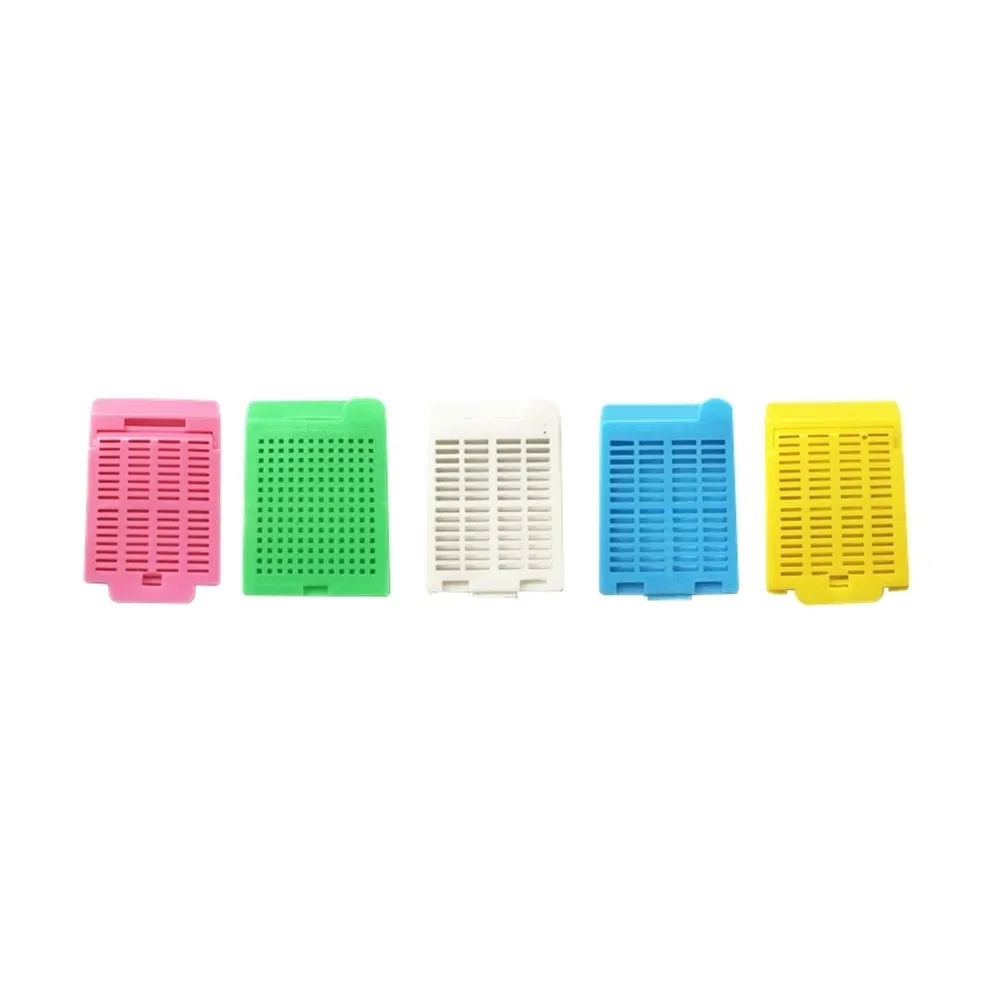 Advanced Protective Tissue Embedding Cassette for Histology Laboratory Biopsy Sample Management