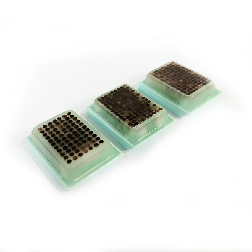 High Quality Disposable Medical Supplies Tissue Microarray Block Used for Comparative Pathology