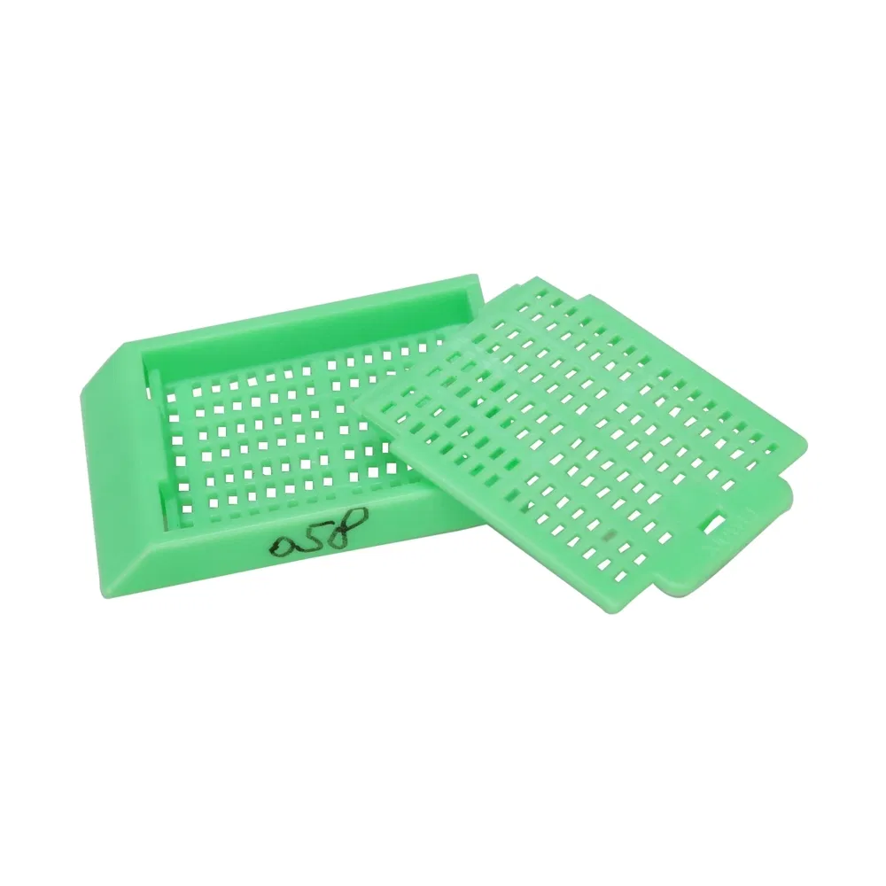 High Quality Tissue Biopsy Embedding Cassette Box Used for Autoimmune Disease Research