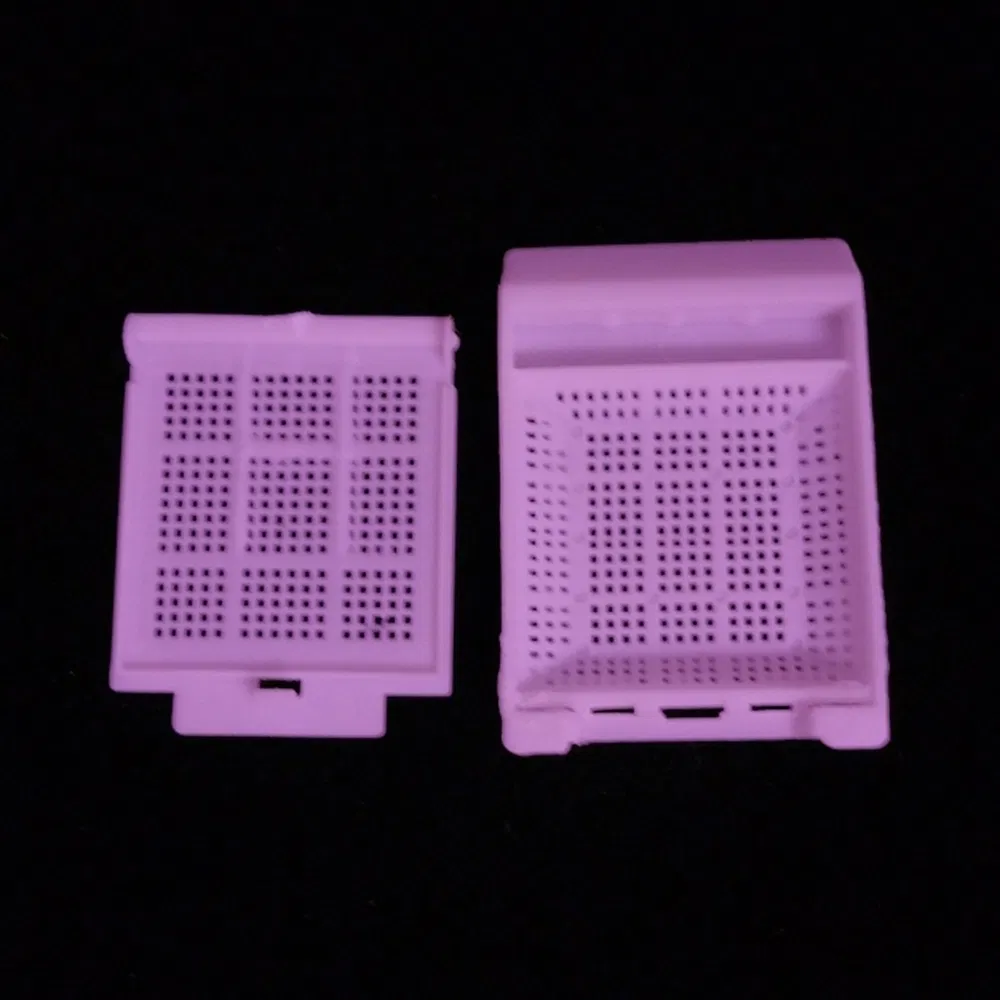 Laboratory Tested Transparent PP Tissue Embedding Cassette Box for Enzyme Localization Studies