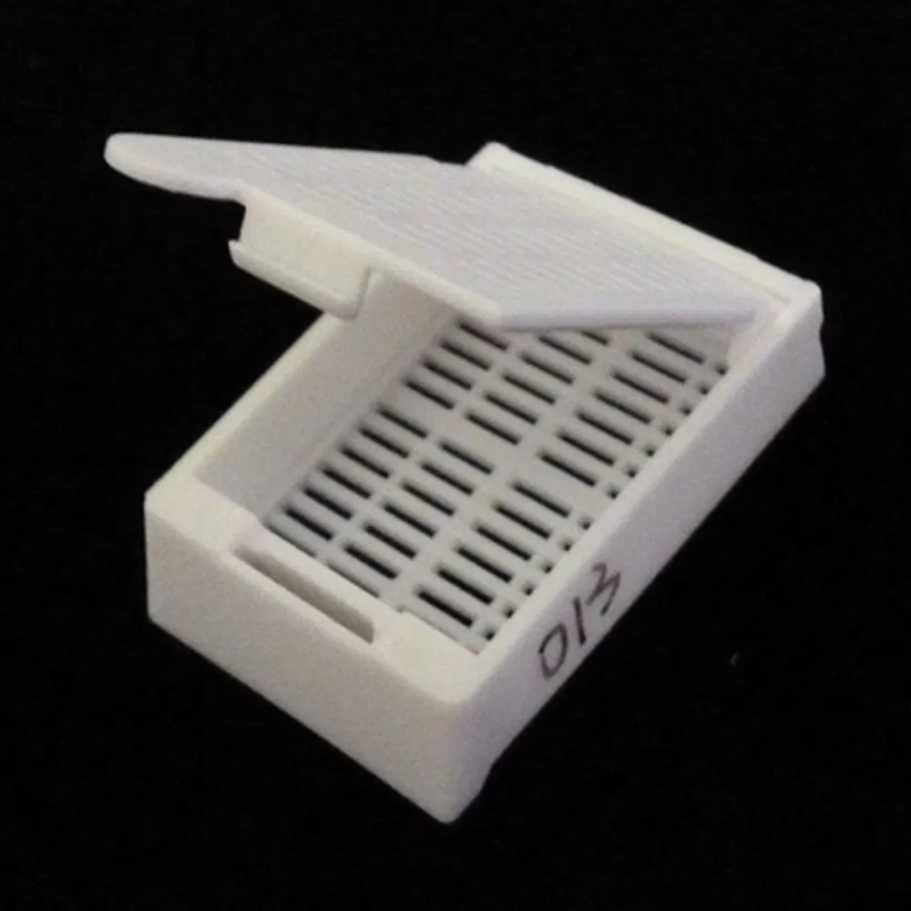 Histology Processing Tissue Embedding Cassette Used for Efficient Clinical Diagnosis Protocol Development