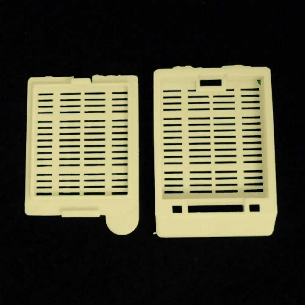 OEM ODM Custom Leak-Proof Design Biopsy Tissue Embedding Cassette Used for Research