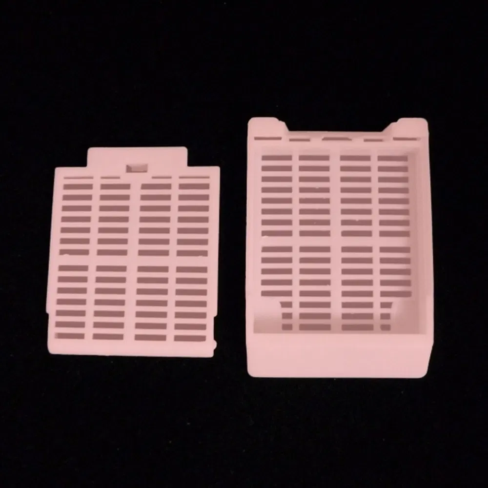Factory Direct Sales Low Price Tissue Embedding Cassette Box Used for Histopathology