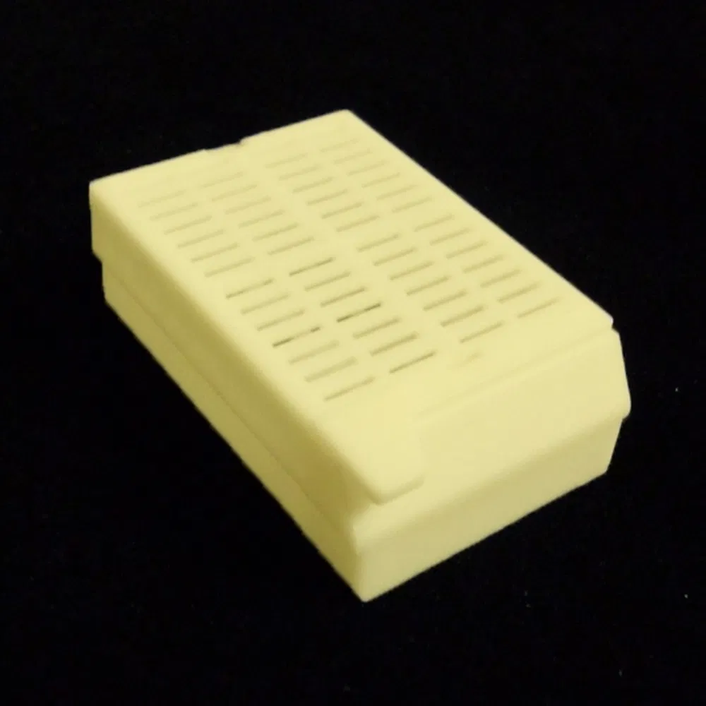 Disposable Laboratory Specimen Biopsy Embedding Cassette Used for Hospital Pathology Tissue Analysis