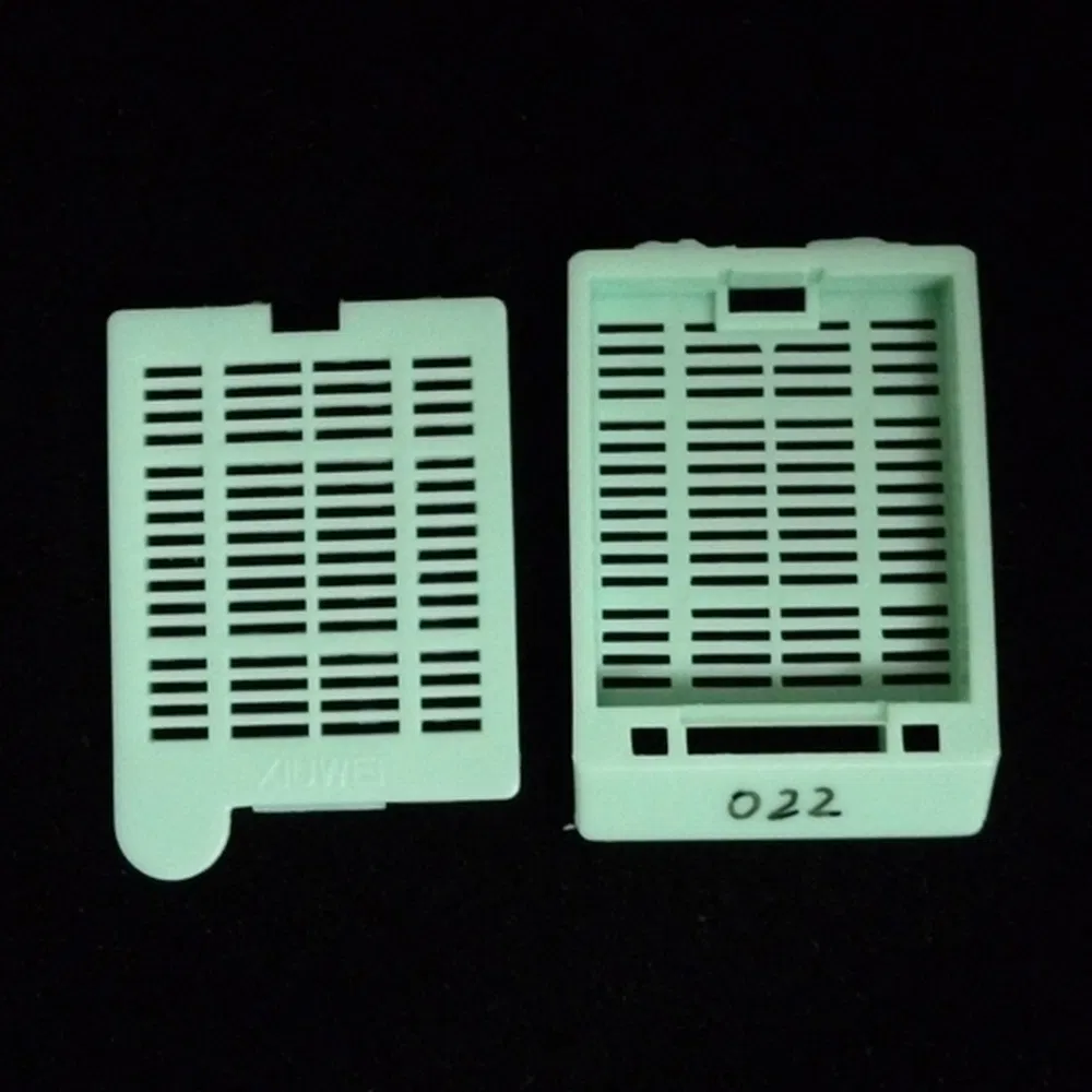 Professional Clinical Biopsy Tissue Organization Embedding Cassette for University Medical Education Training