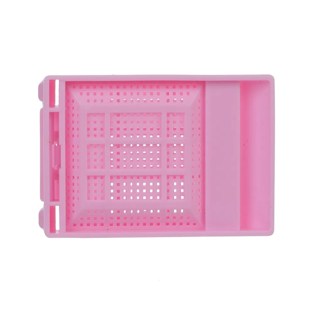 Laboratory Tested Transparent PP Tissue Embedding Cassette Box for Enzyme Localization Studies