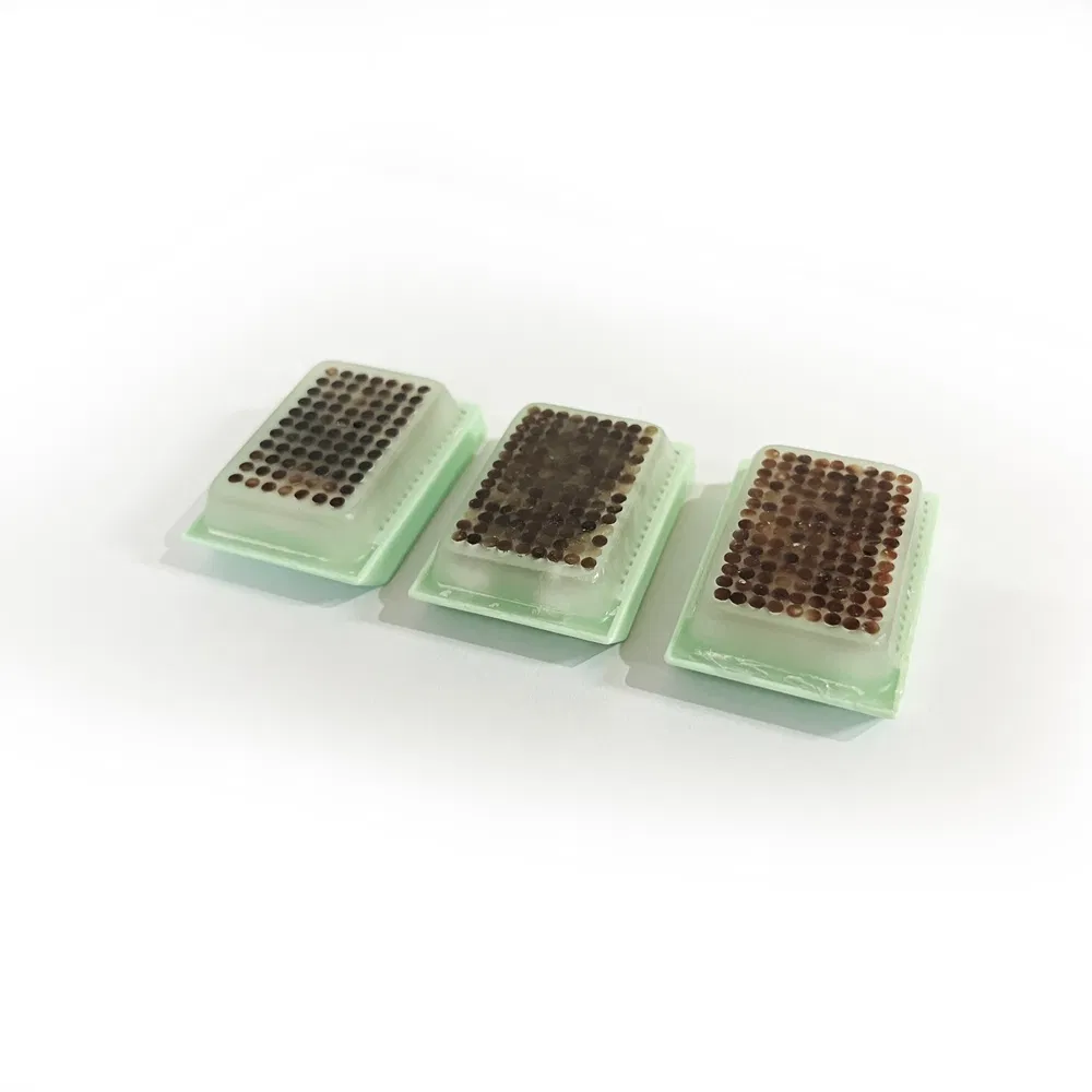 High Quality Disposable Medical Supplies Tissue Microarray Block Used for Comparative Pathology