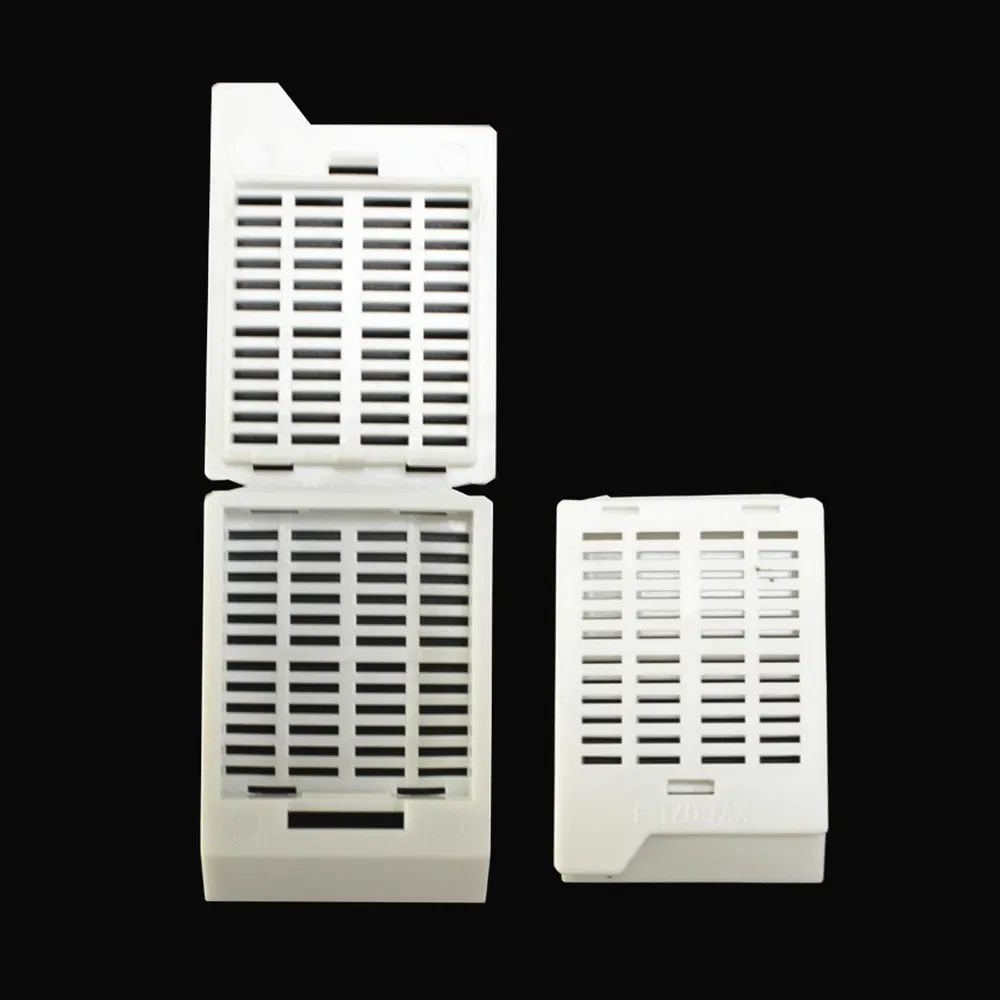 Stackable Filing Plastic Tissue Embedding Cassette Used for Standardized Hospital Workflows