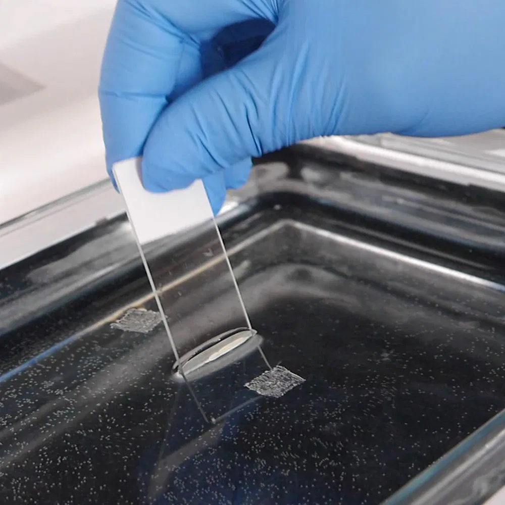 Water Bath and Slide Dryer Reagents and Laboratory Equipment Water Bath