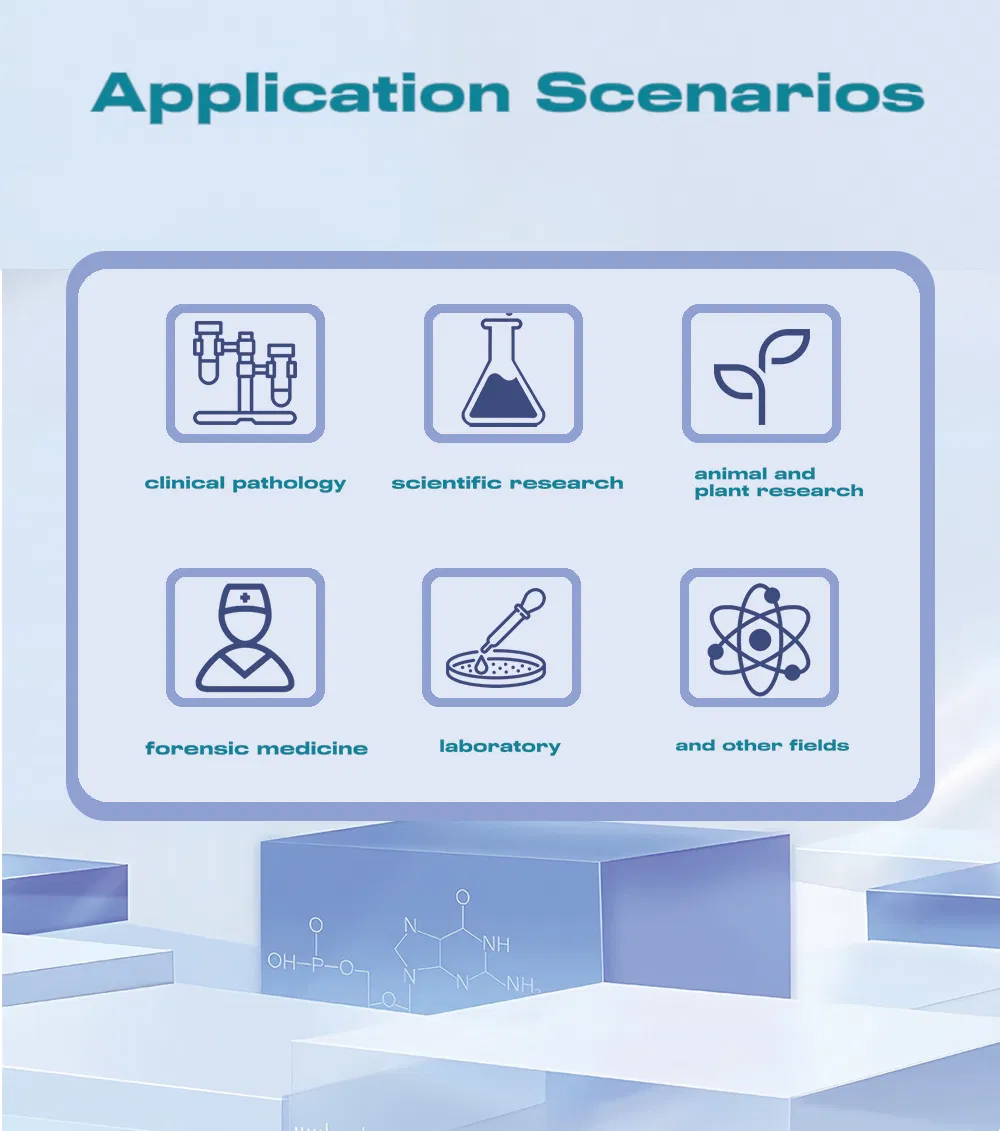 Embedding Cassette Hospital Device Medical Disposables Surgical Equipment Ultrasound Scanner Embedding Cassette