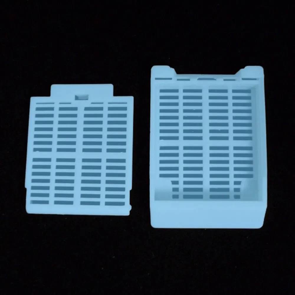 Sterile Medical Sample Biopsy Tissue Embedding Cassette for Forensic Pathology Specimen Investigations