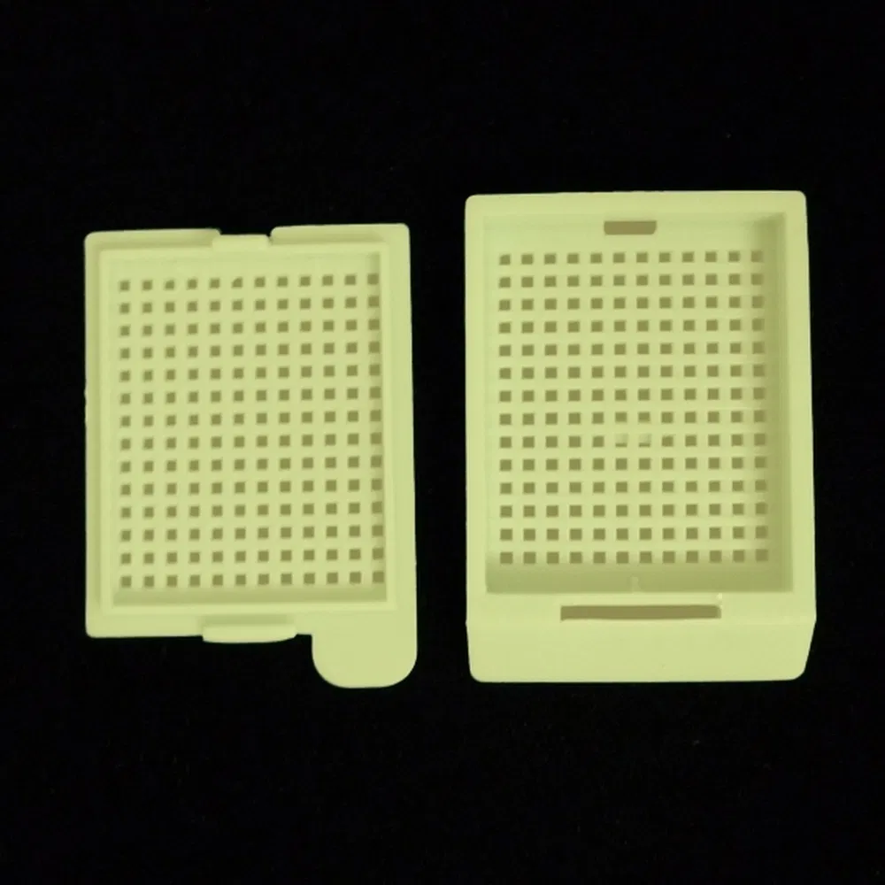 Premium Medical Standard PP Tissue Embedding Cassette Box for Chemical Fixation Procedures