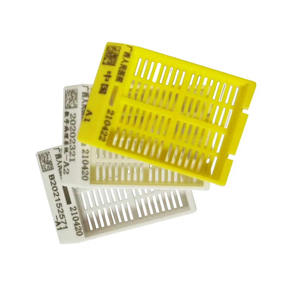 High Quality Tissue Embedding Cassette for Histology Laboratory Systematic Specimen Classification