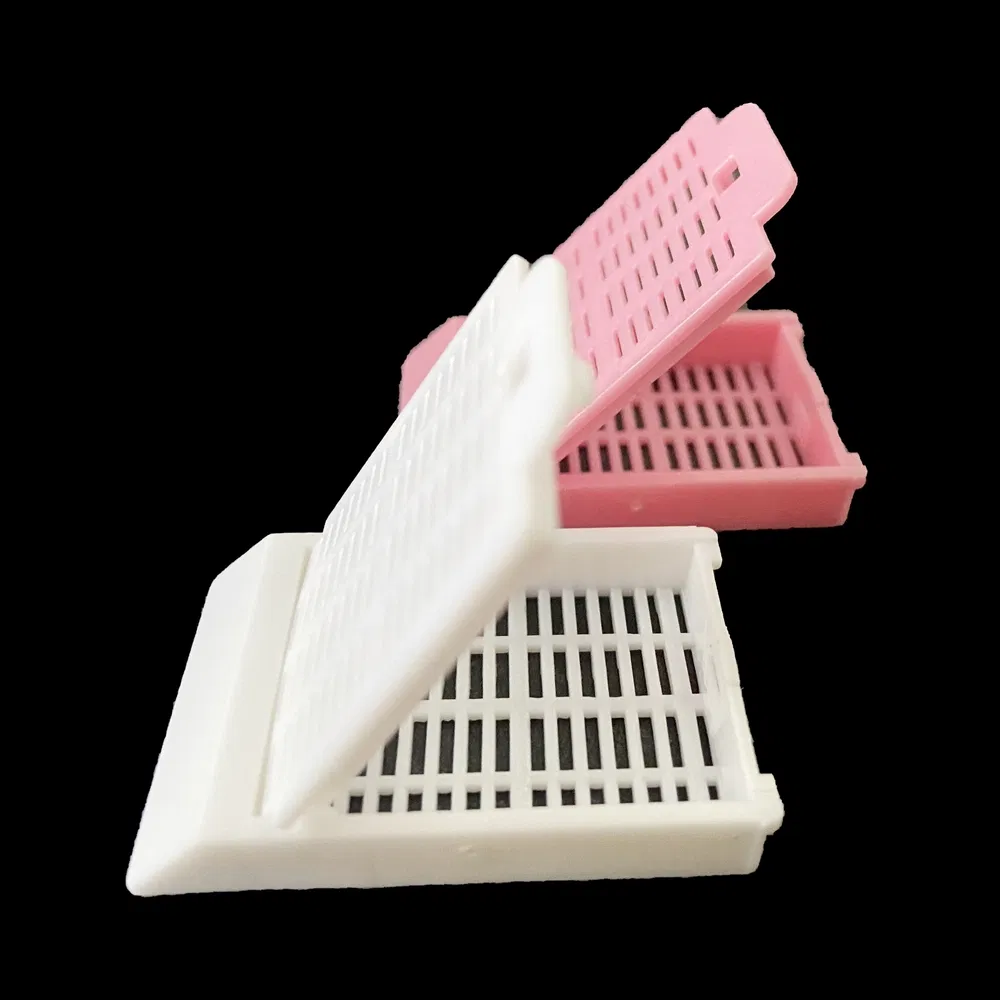 Factory Direct Sales Chemical Resistant Tissue Embedding Cassette Box for Transplantation Studies