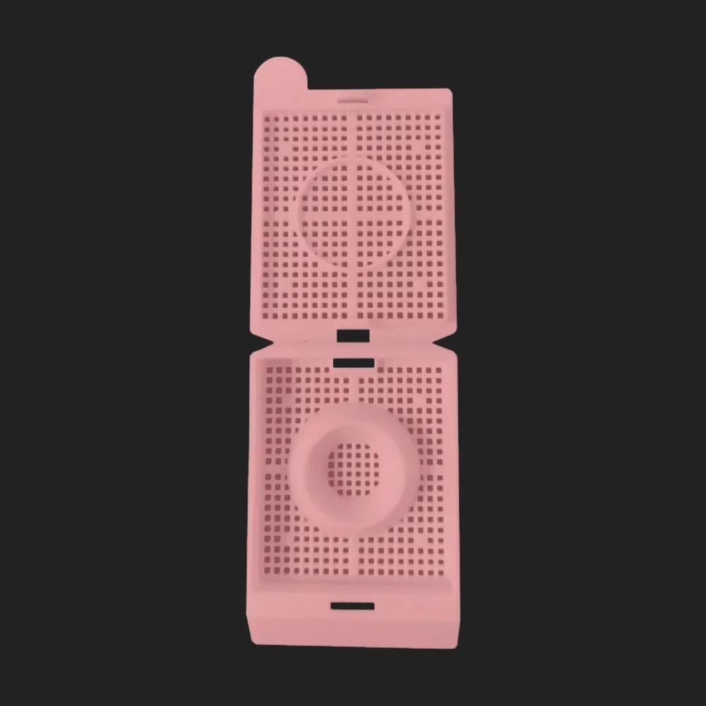 Sterile Handling Plastic Tissue Embedding Cassette Used for Organized Biological Samples
