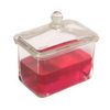 Easy to Operate Clean Made of Durable Chemical-Resistant Materials Medical Staining Jar