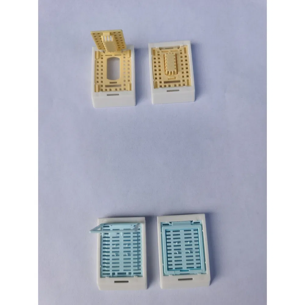 High Quality Disposable Medical Supplies Tissue Embedding Cassette Box for Genetic Research