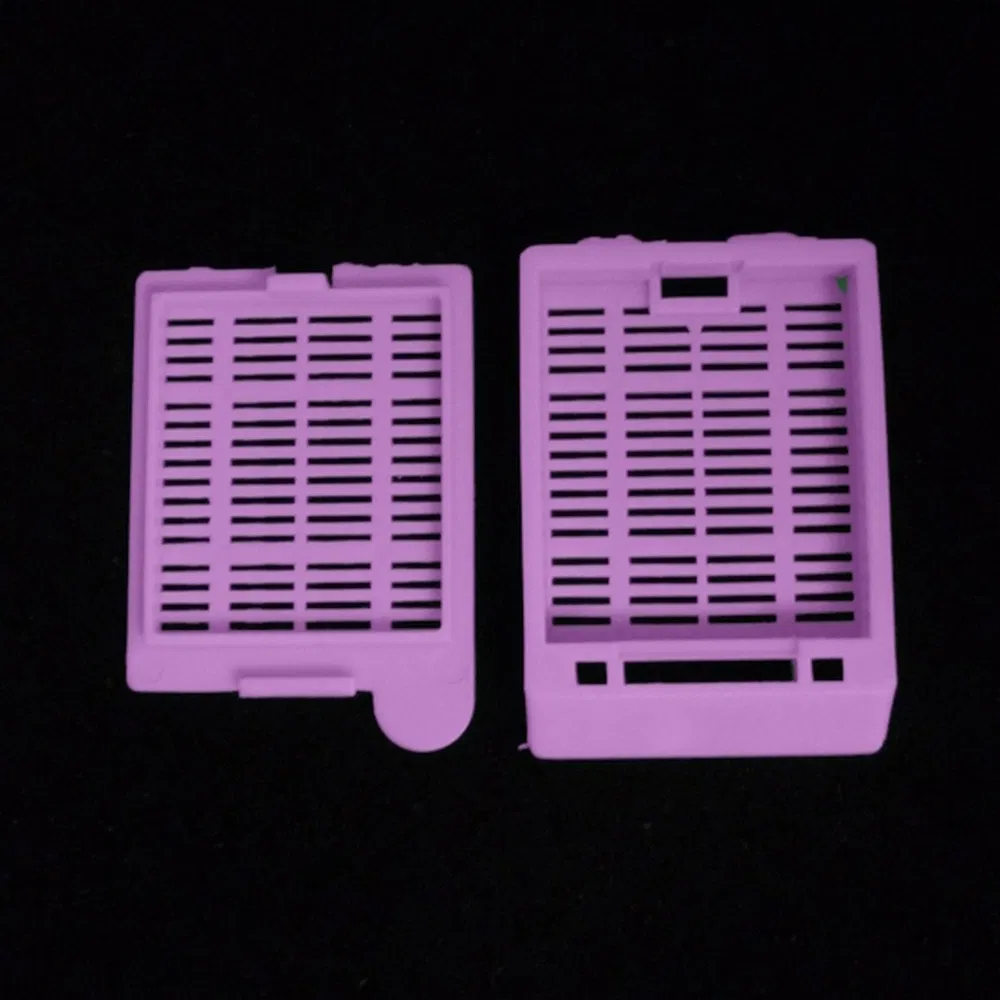 OEM ODM Custom Leak-Proof Design Biopsy Tissue Embedding Cassette Used for Research