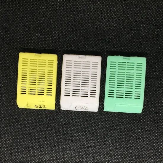 Professional Clinical Biopsy Tissue Organization Embedding Cassette for University Medical Education Training