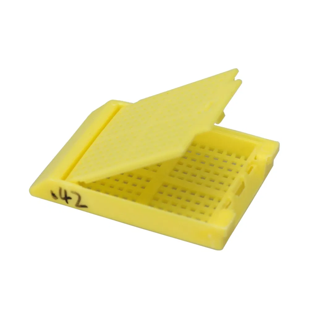 Standardized Histochemical PP Testing Tissue Embedding Cassette Box for Specific Chemical Analysis