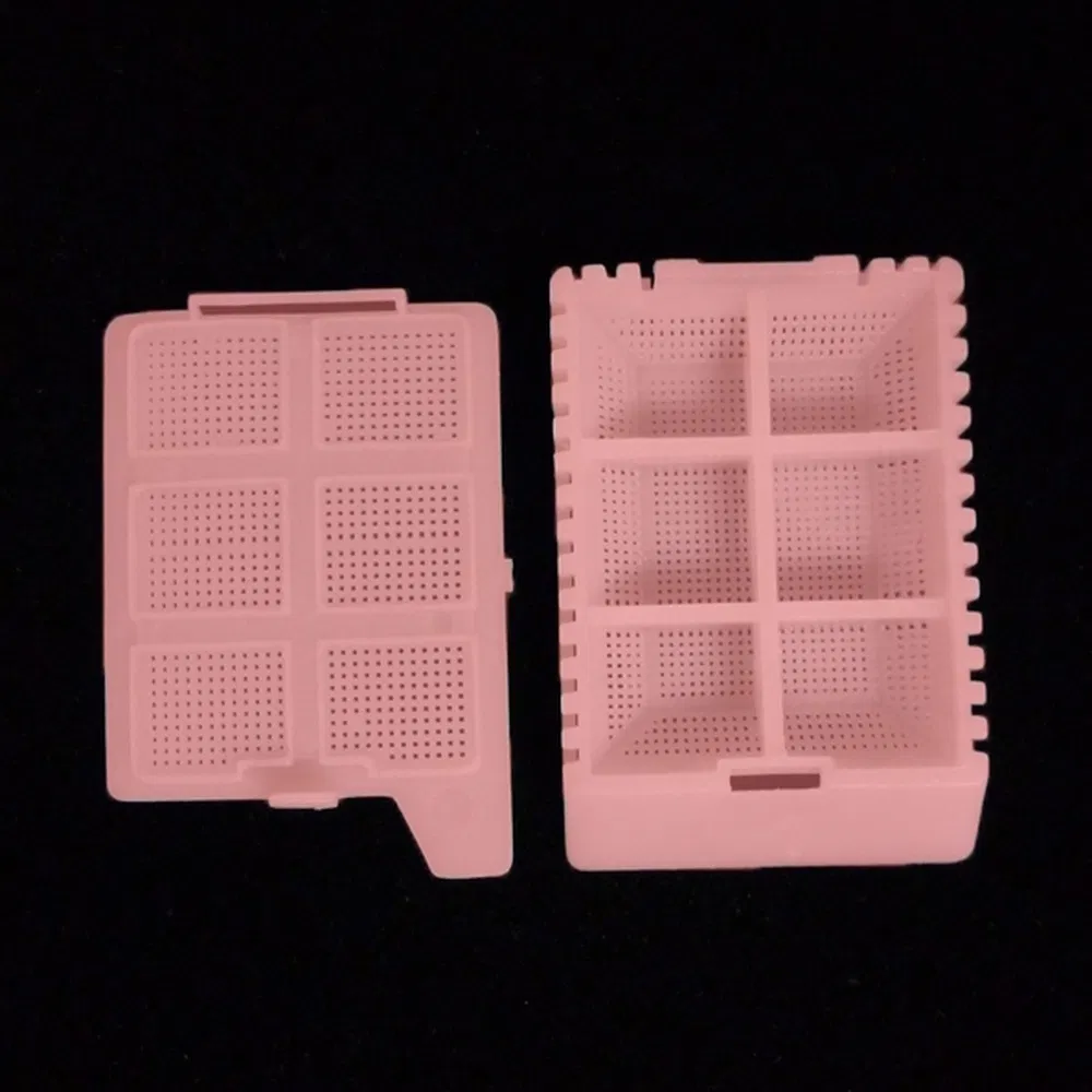 Clinical Processing System PP Tissue Embedding Cassette Box for Automated Laboratory Procedures