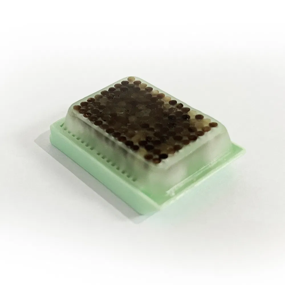 High Quality Disposable Medical Supplies Tissue Microarray Block Used for Comparative Pathology