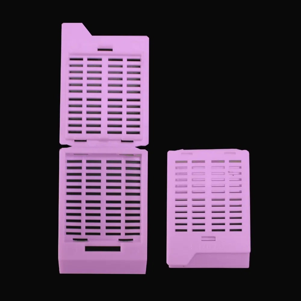 Stackable Filing Plastic Tissue Embedding Cassette Used for Standardized Hospital Workflows
