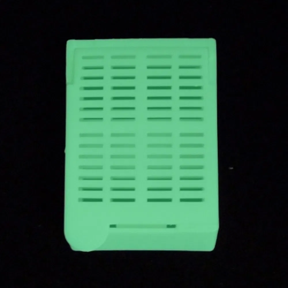 Histology Processing Tissue Embedding Cassette Used for Efficient Clinical Diagnosis Protocol Development