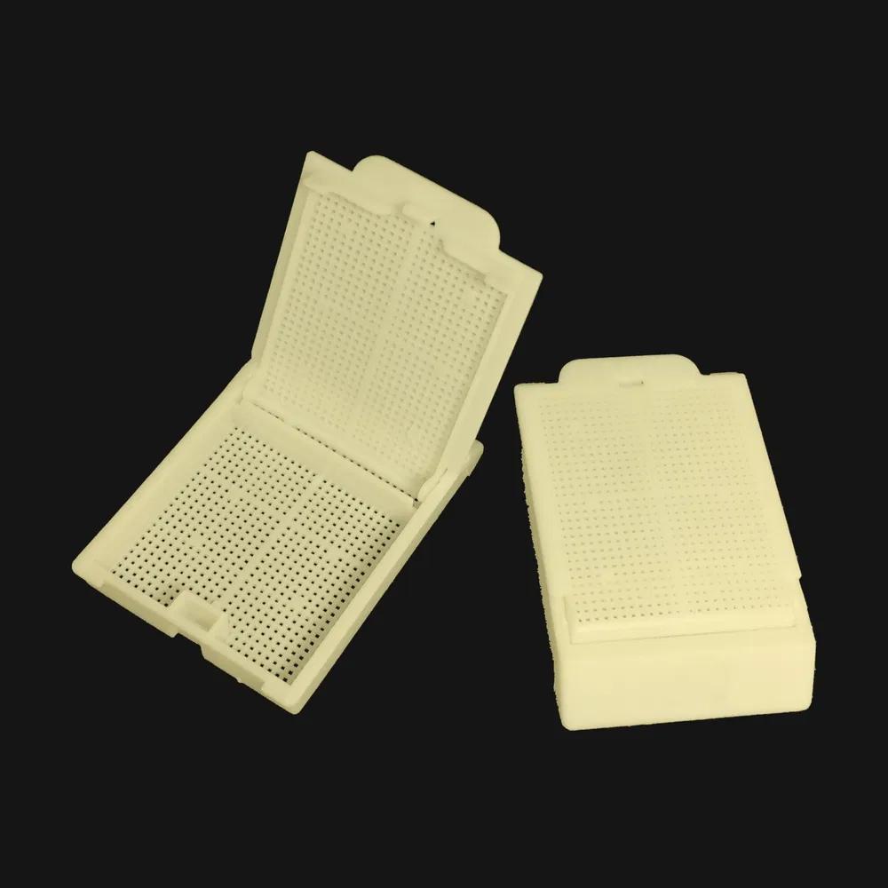 Advanced Pathology Specimen PP Tissue Embedding Cassette Box for Accurate Disease Diagnosis