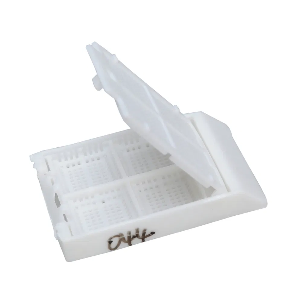 Medical Grade Examination PP Tissue Embedding Cassette Box for Surgical Tumor Assessment