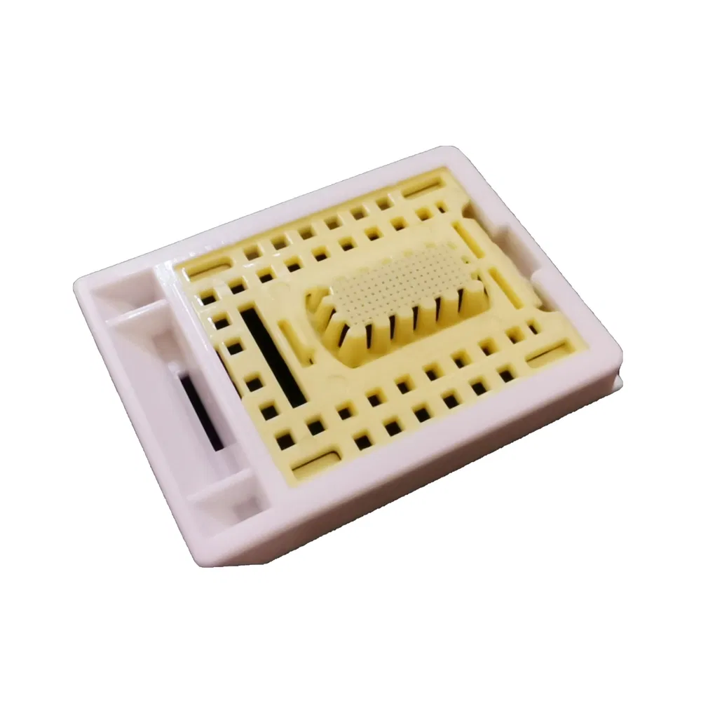 Professional Grade Tissue Embedding Cassette for Pathology Laboratory Tissue Sample Storage