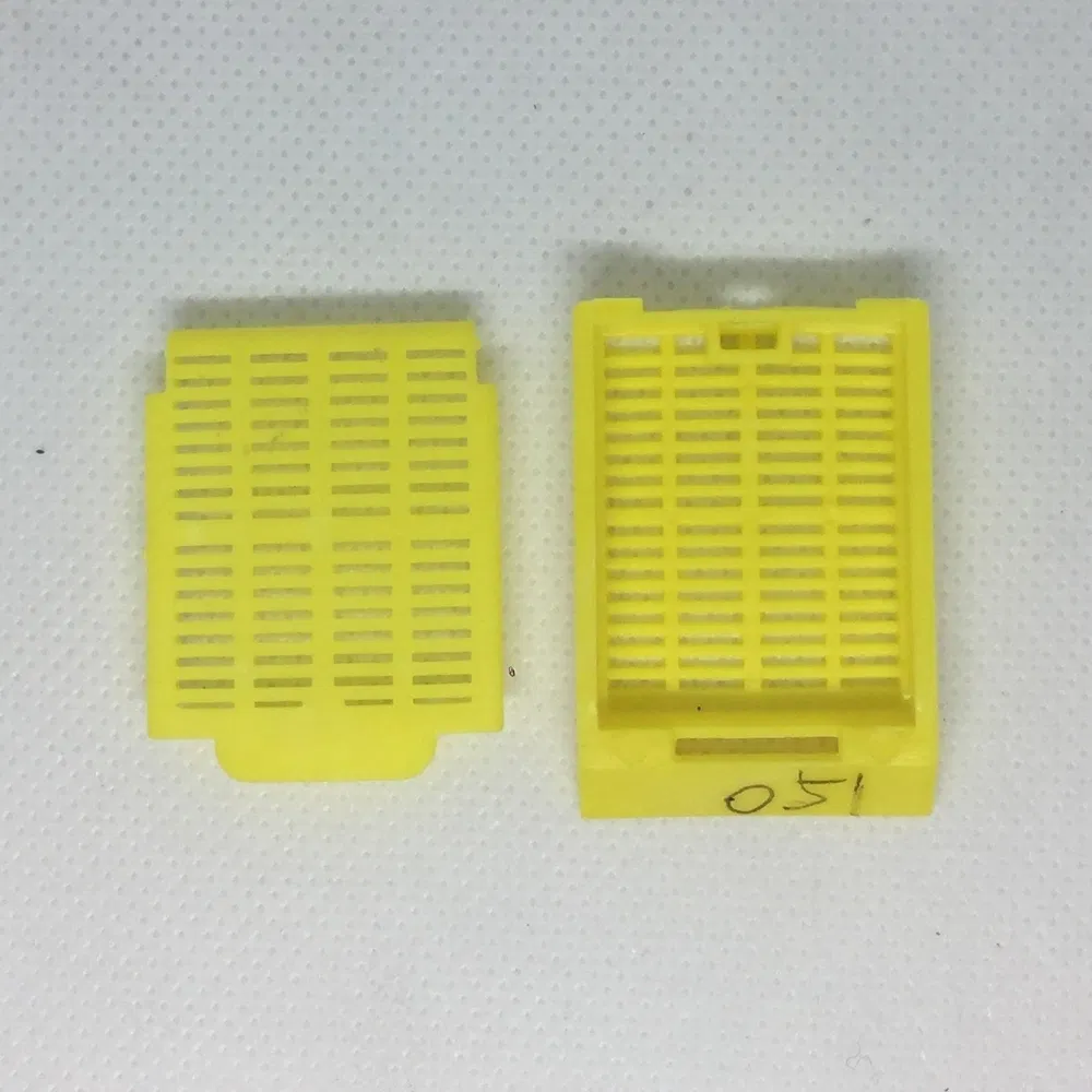 Innovative Staining Compatible PP Tissue Embedding Cassette for Cellular Structure Visualization