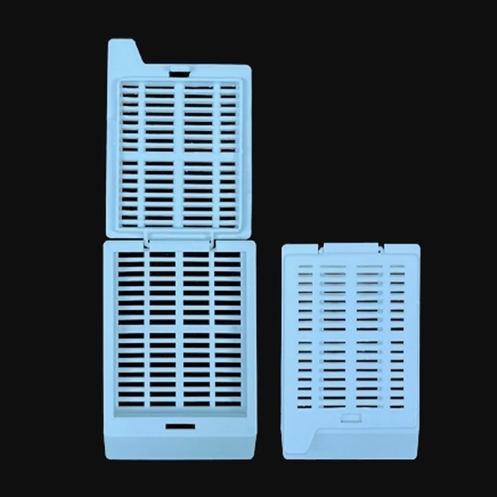 High Quality Protection Plastic Tissue Embedding Cassette for Efficient Clinical Diagnostics