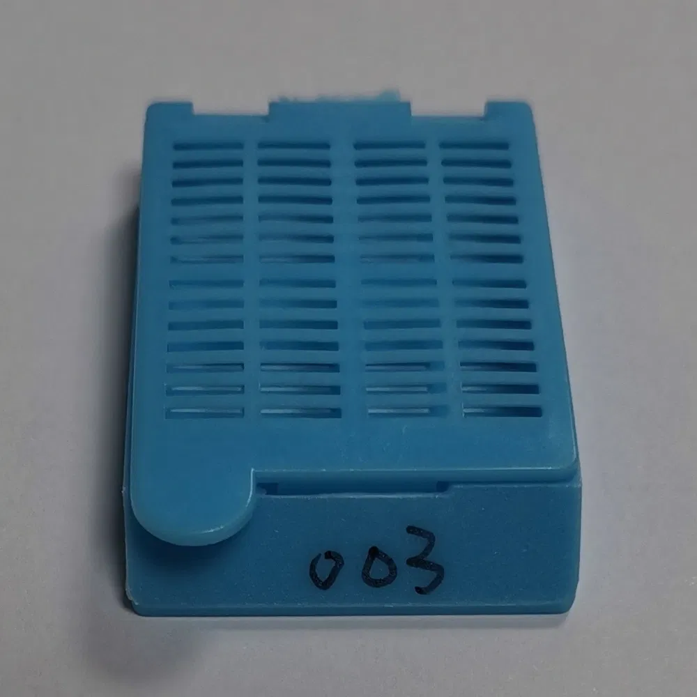 Laboratory Grade White Perforated Disposable Medical Supplies Cassette for Histopathology Workflow Analysis