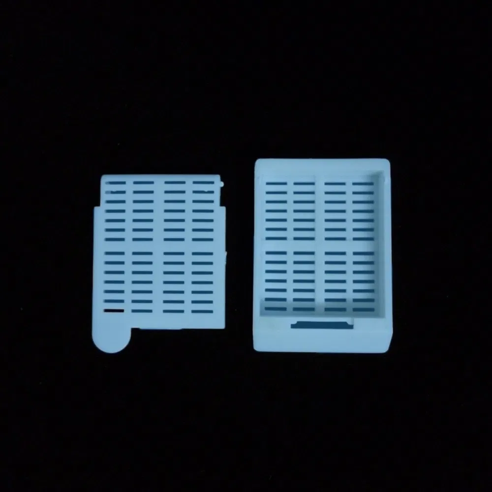 Validated Human Thyroid PP Tissue Embedding Cassette for Formalin Fixed Paraffinv