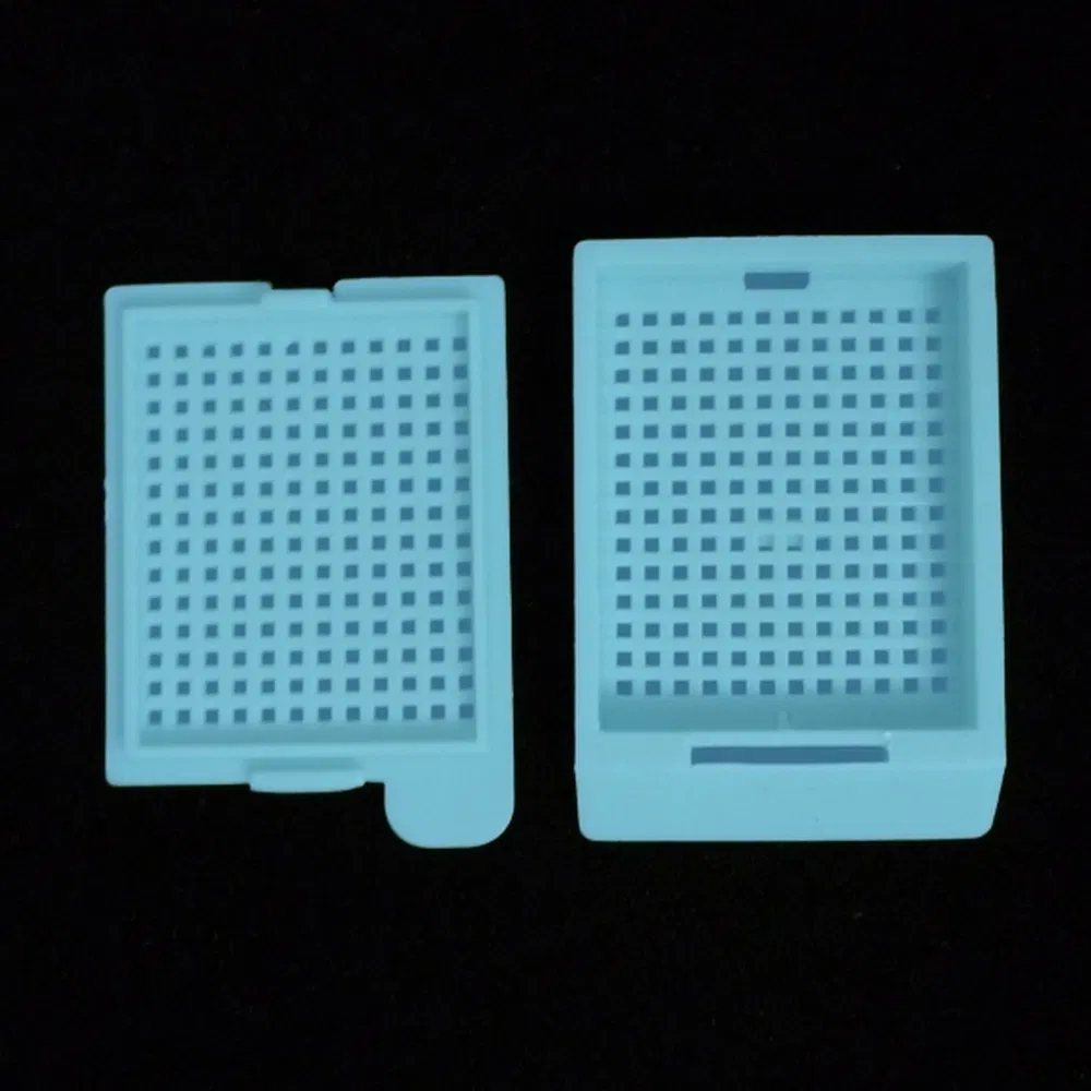 Premium Medical Standard PP Tissue Embedding Cassette Box for Chemical Fixation Procedures