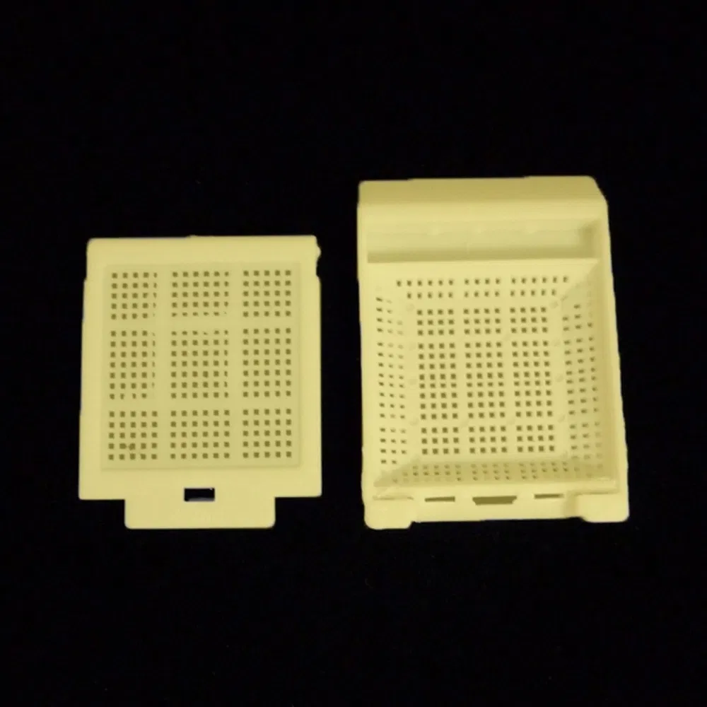 Laboratory Tested Transparent PP Tissue Embedding Cassette Box for Enzyme Localization Studies