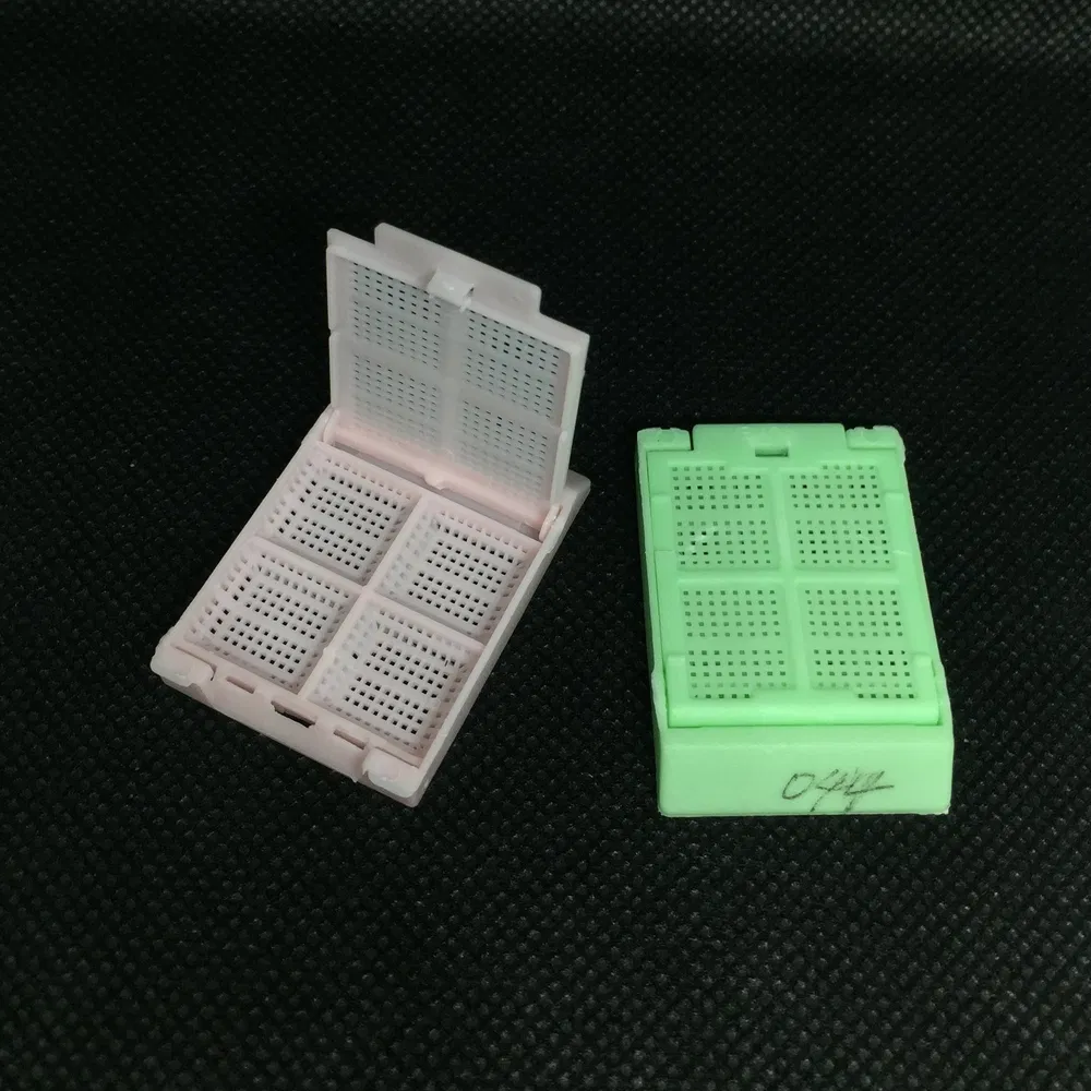 Medical Grade Examination PP Tissue Embedding Cassette Box for Surgical Tumor Assessment