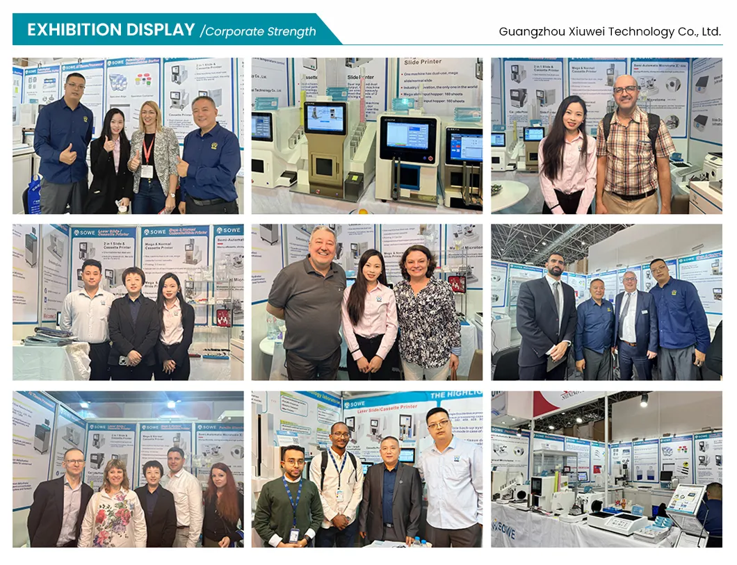 Reliable Microscopic Analysis PP Tissue Embedding Cassette for Biological Samples Examination