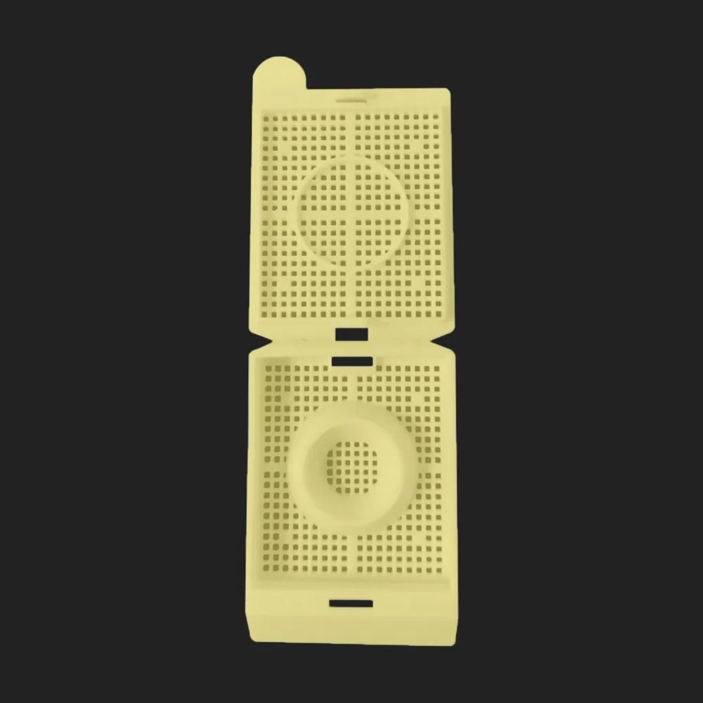 Sterile Handling Plastic Tissue Embedding Cassette Used for Organized Biological Samples