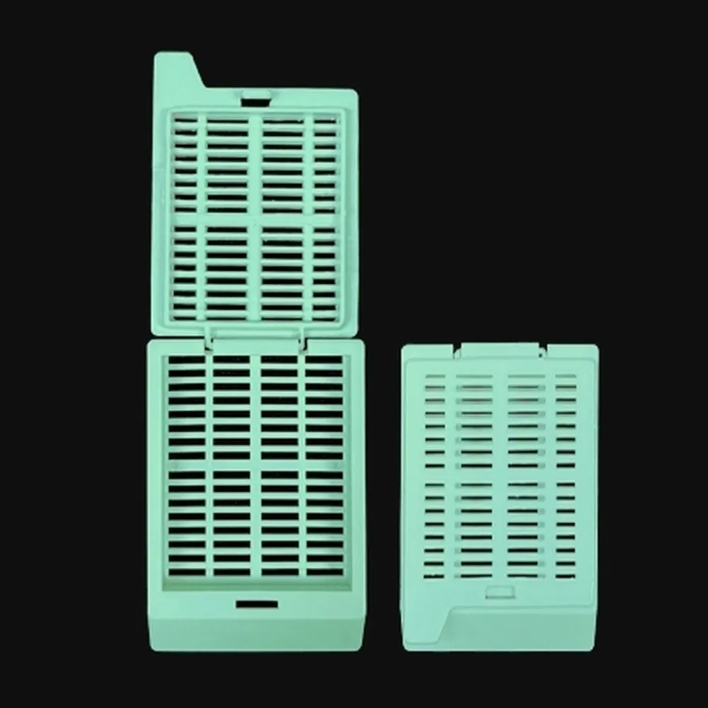High Quality Protection Plastic Tissue Embedding Cassette for Efficient Clinical Diagnostics