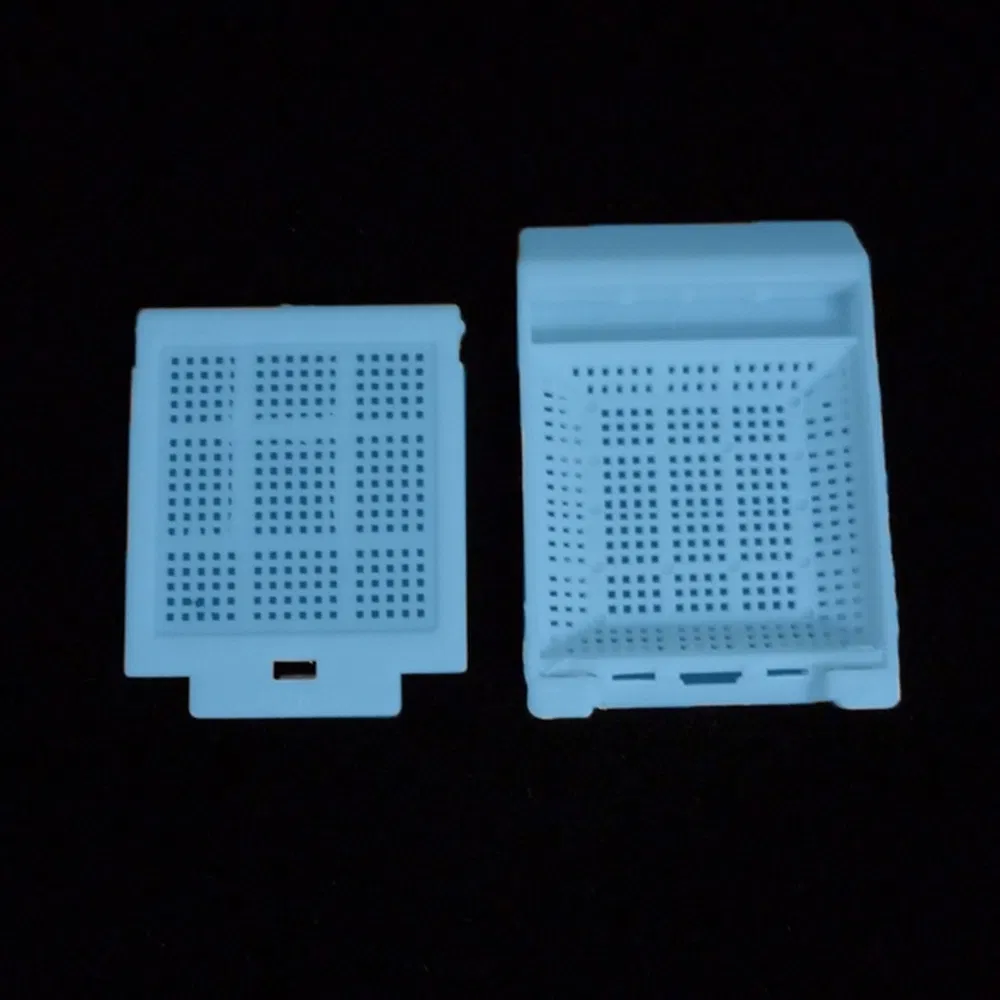 Laboratory Tested Transparent PP Tissue Embedding Cassette Box for Enzyme Localization Studies