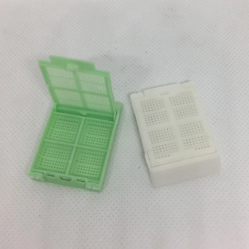 Medical Grade Examination PP Tissue Embedding Cassette Box for Surgical Tumor Assessment