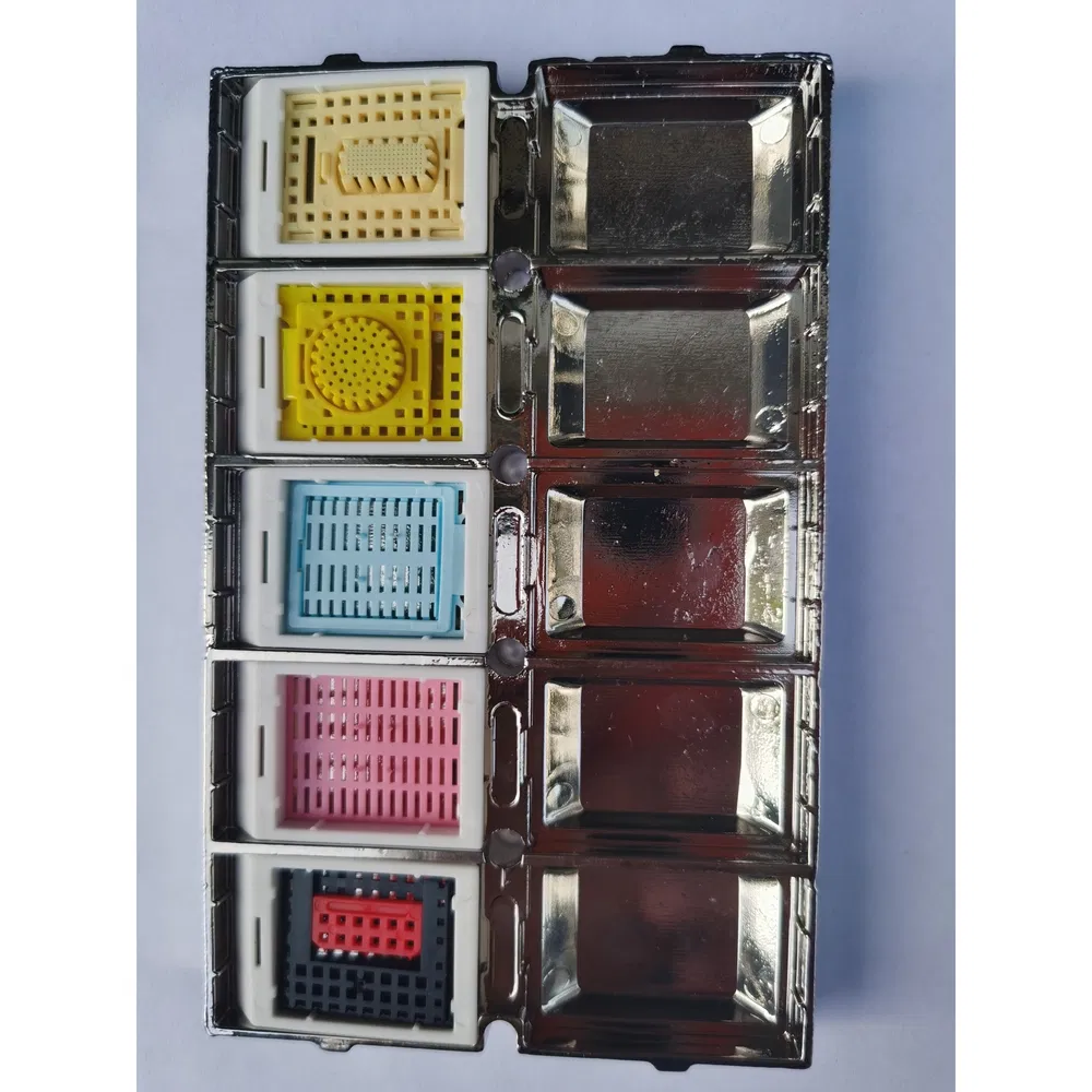 Professional Grade Tissue Embedding Cassette for Pathology Laboratory Tissue Sample Storage