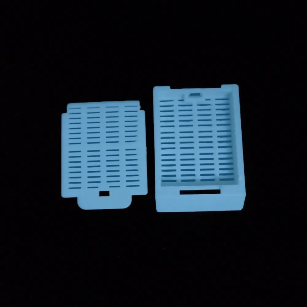 Innovative Staining Compatible PP Tissue Embedding Cassette for Cellular Structure Visualization