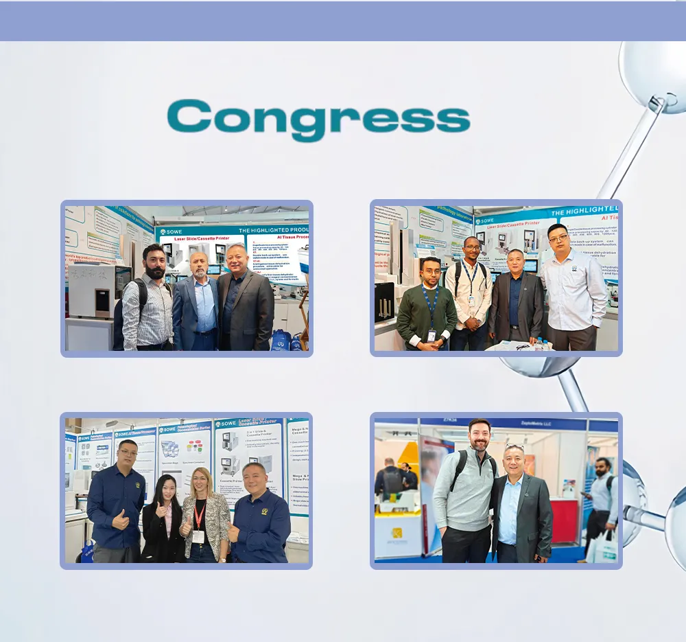 Tissue Processor Hospital Device Automatic Tissue Processor Histology Water Bath Antibody Laboratory Medical Equipment