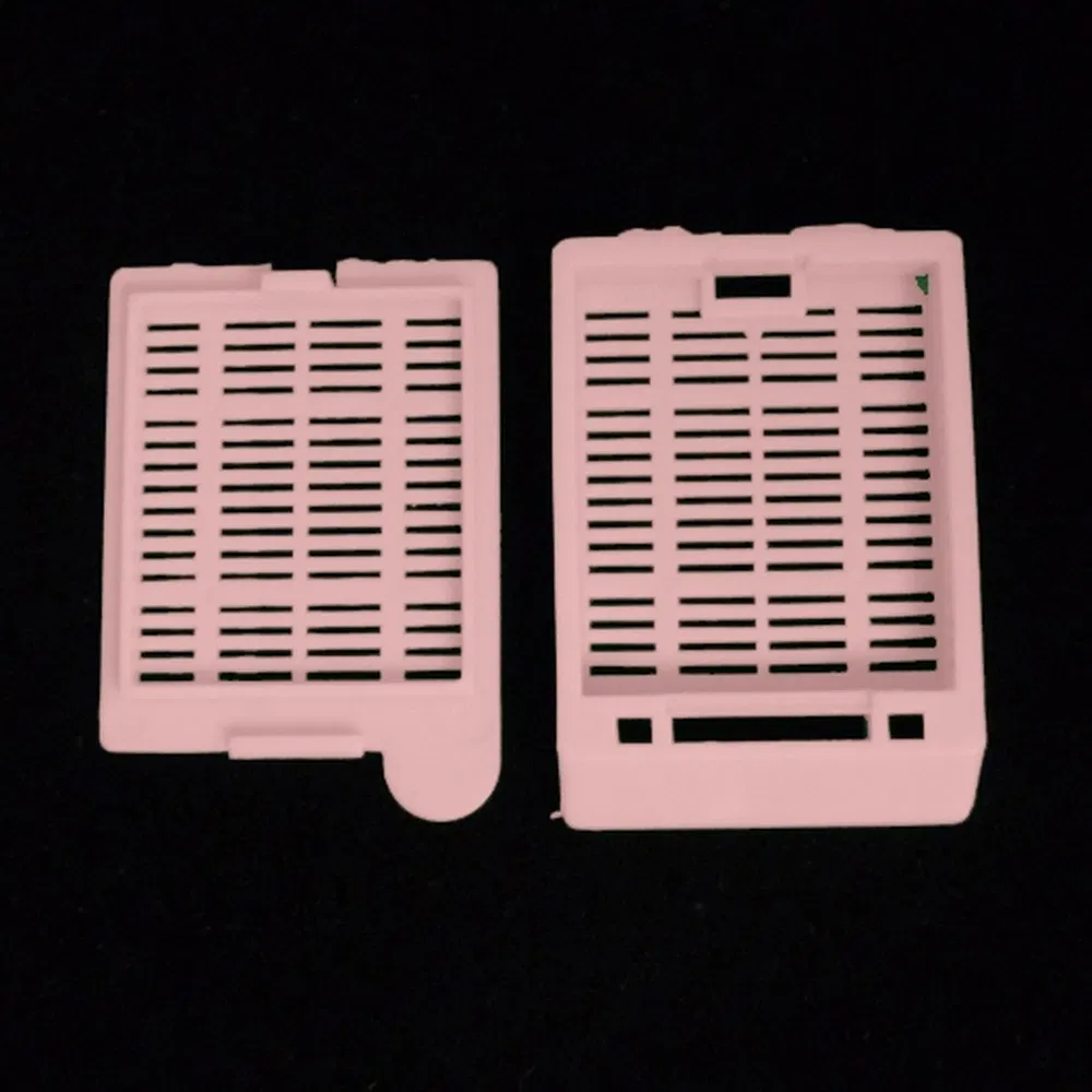 Professional Clinical Biopsy Tissue Organization Embedding Cassette for University Medical Education Training