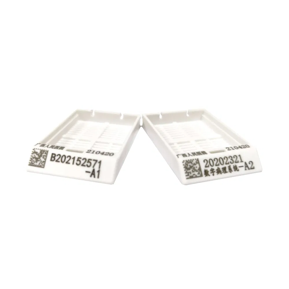 High Quality Tissue Embedding Cassette for Histology Laboratory Systematic Specimen Classification